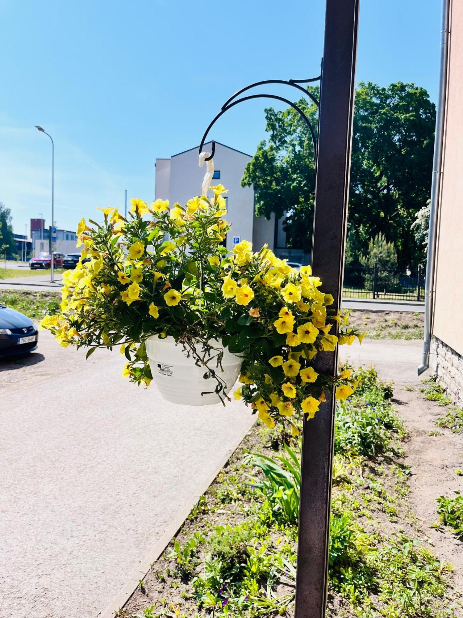Tallinnhousing Studio For 4 With Free Parking