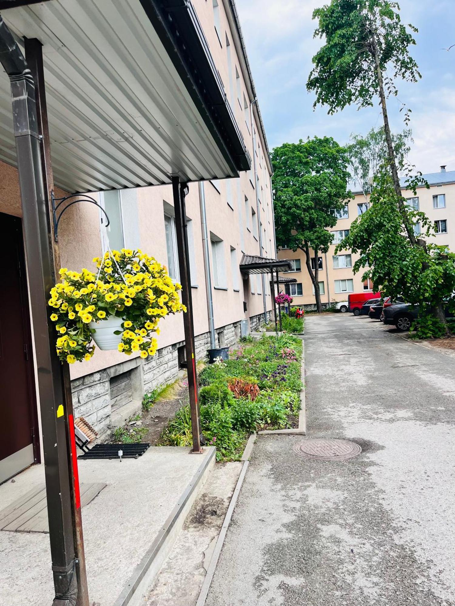 Tallinnhousing Studio For 4 With Free Parking Íbúð Tallinn